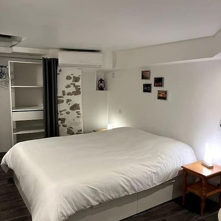Appartement Climatise Albi - Centre Buitenkant foto