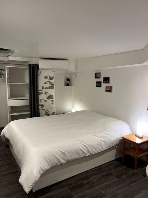 Appartement Climatise Albi - Centre Buitenkant foto